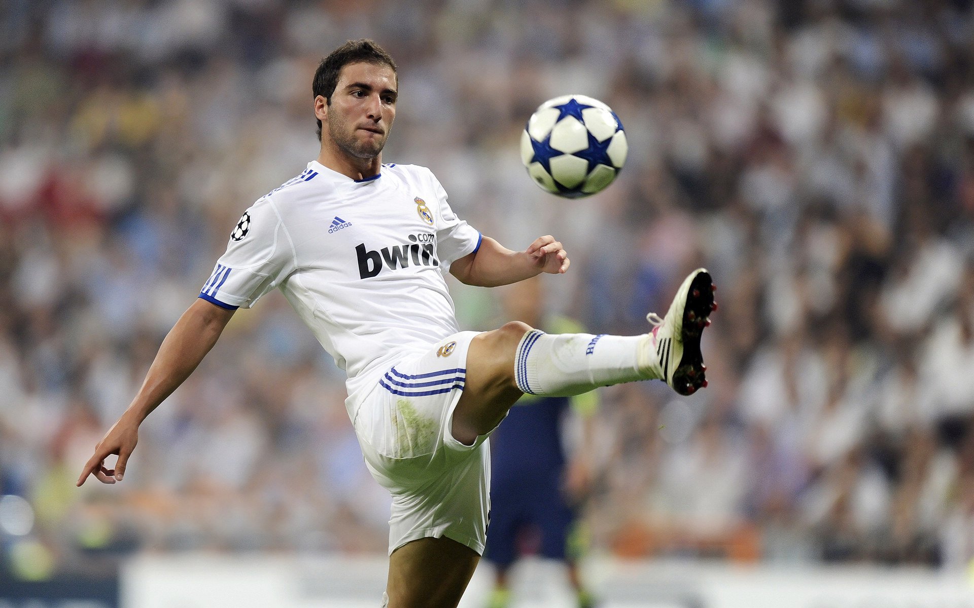 _体育产业链转型：网球赛事带动相关产业发展_，网球行业分析